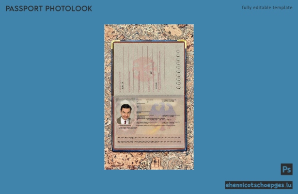 Vorschau des Passfotos für Deutschland (2005–2017)
